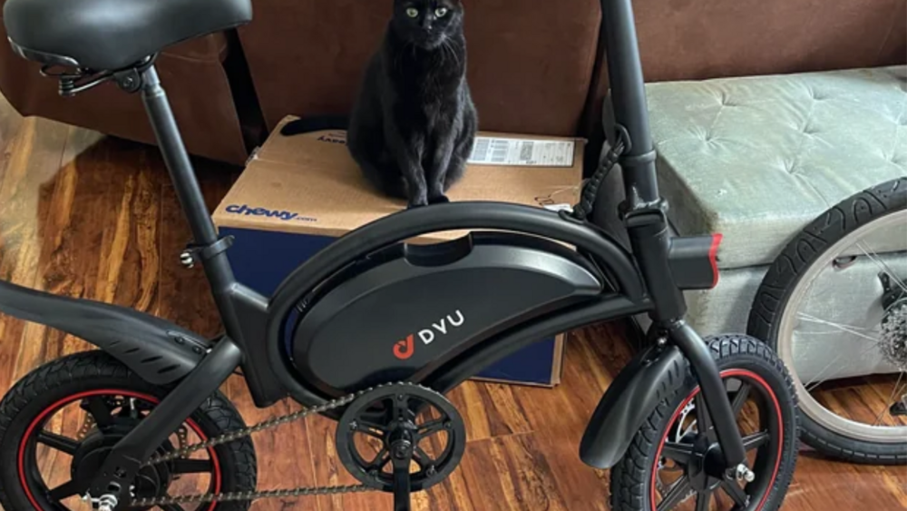 Are Small Electric Bikes Appropriate For Riding Off-Road Or Through Rough Terrain?